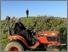 [thumbnail of Tractor Duet - A Land Drawing, perfromers Kingston and Bickerton]