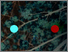 [thumbnail of Spring, a video installation exhibited as part of For Folks Sake at The Cut]